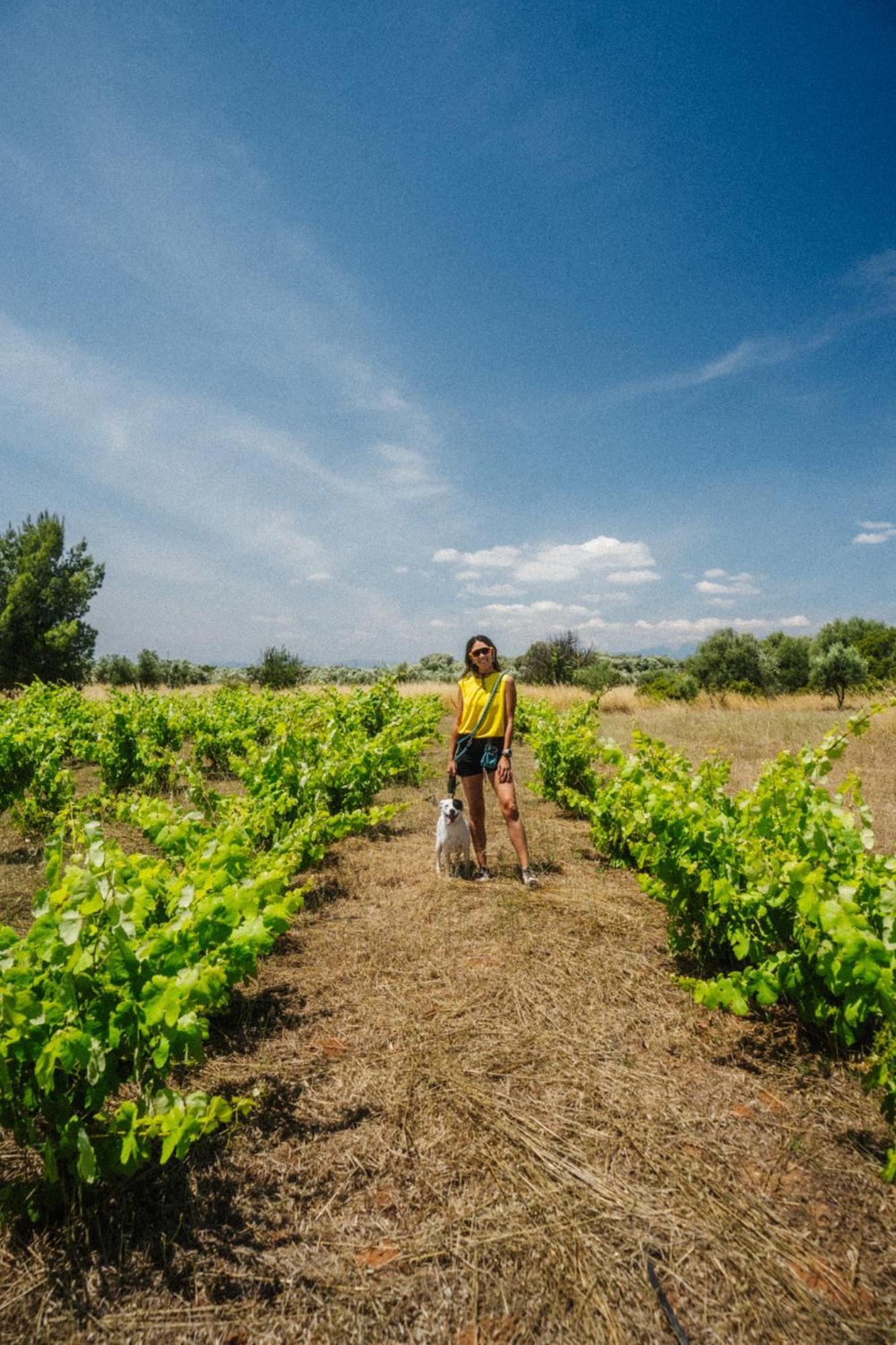 فندق Eumelia Organic Agrotourism Farm Goúvai المظهر الخارجي الصورة