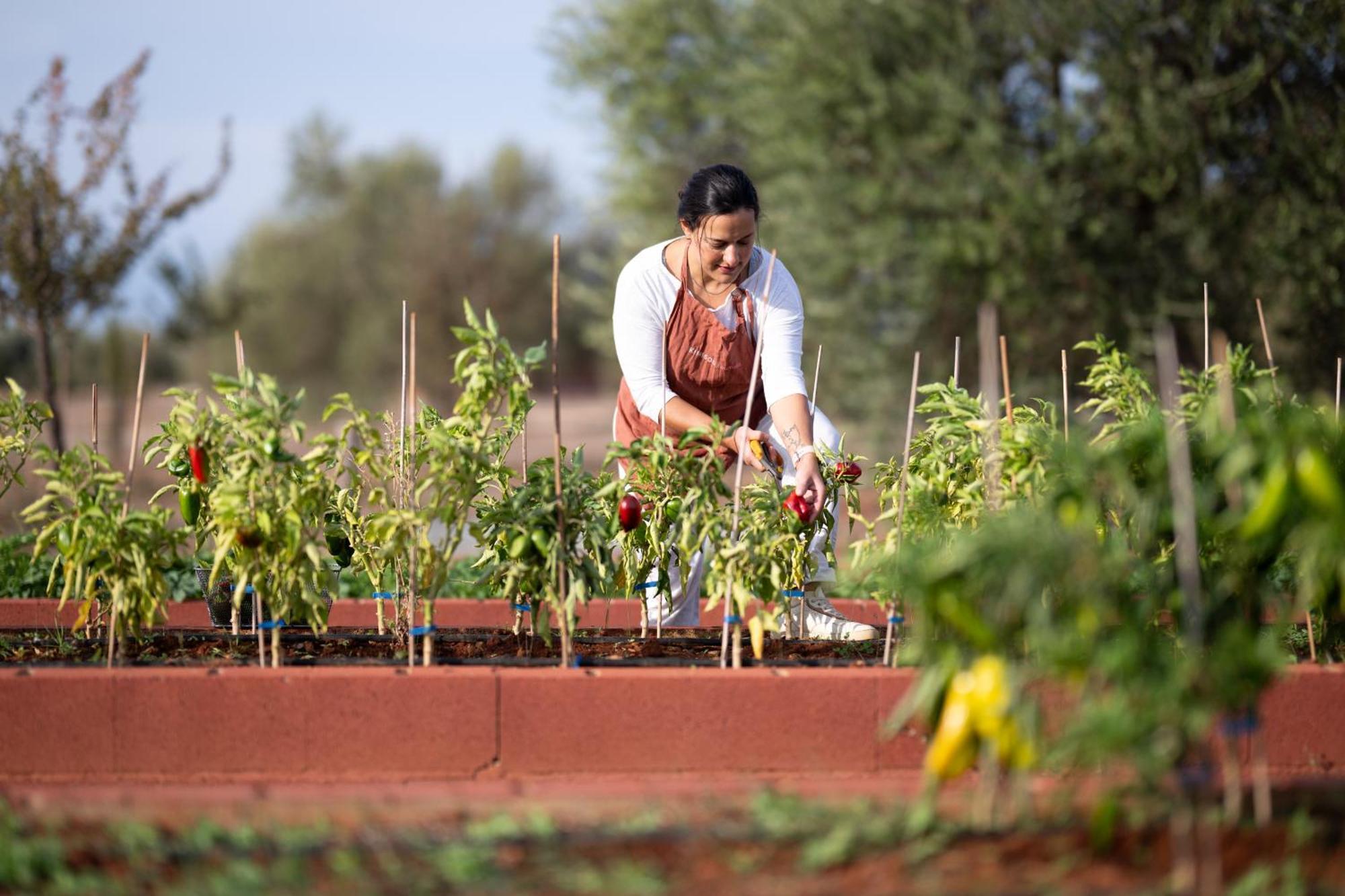 فندق Eumelia Organic Agrotourism Farm Goúvai المظهر الخارجي الصورة